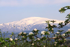 Gassan